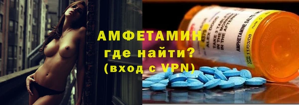 мдпв Бородино