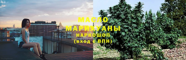 мдпв Бородино