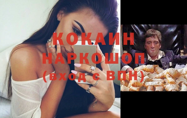 мдпв Бородино