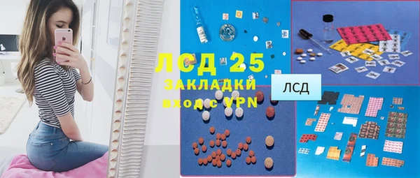 мдпв Бородино