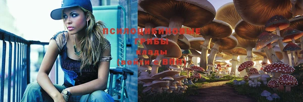мдпв Бородино