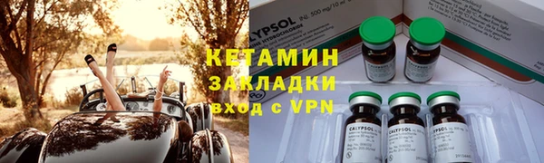 индика Верхний Тагил