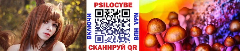 Купить закладки Конаково Галлюциногенные грибы Psilocybine cubensis