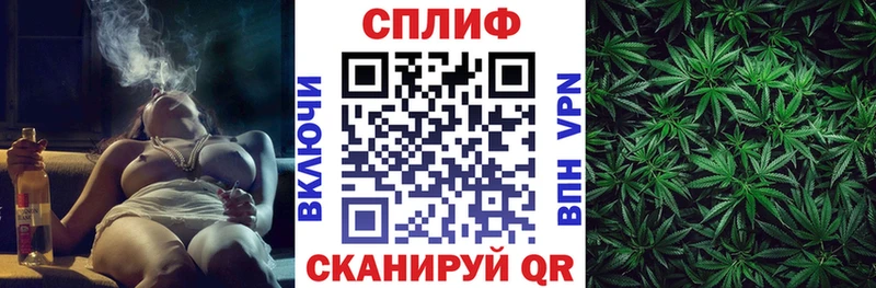 Купить закладки  Конаково  Бошки Шишки THC 21% 